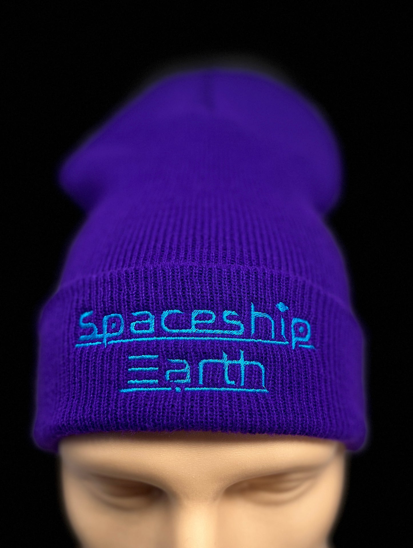 Spaceship Earth Logo Beanie
