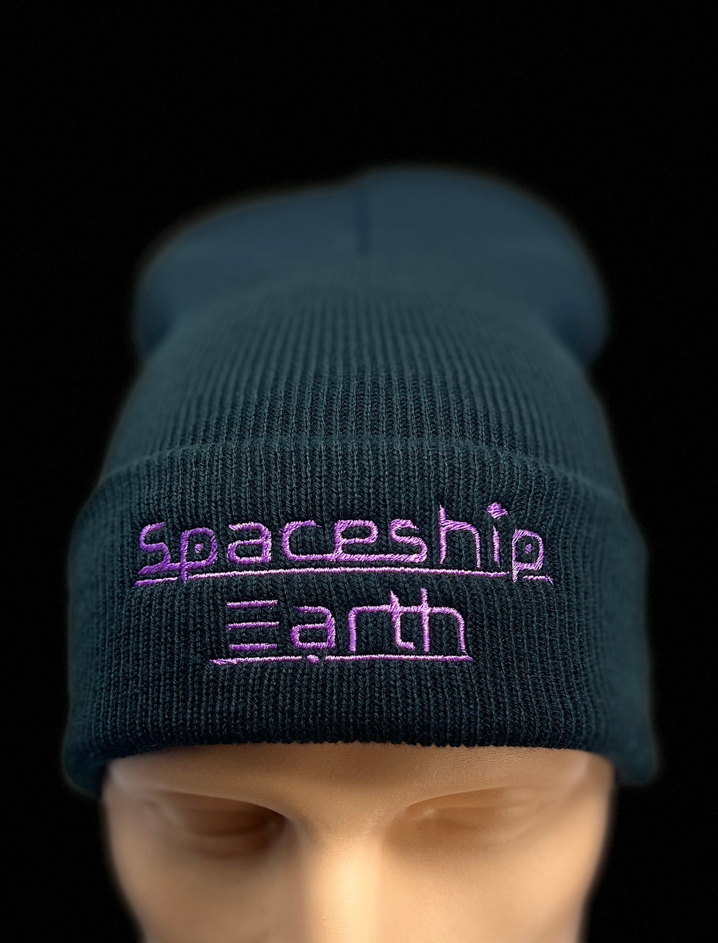 Spaceship Earth Logo Beanie