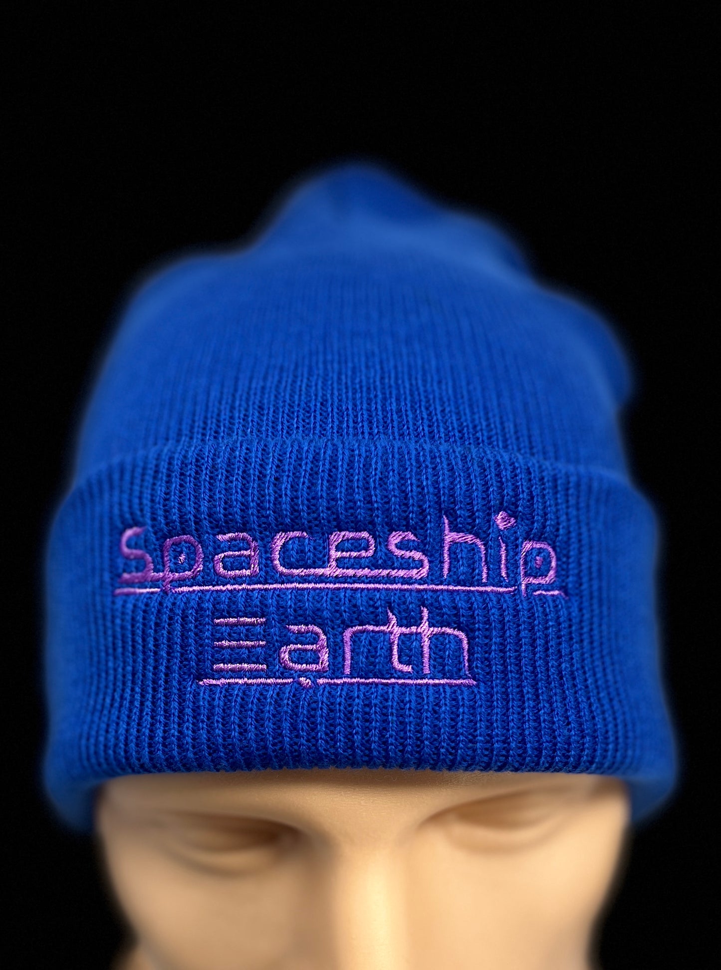 Spaceship Earth Logo Beanie