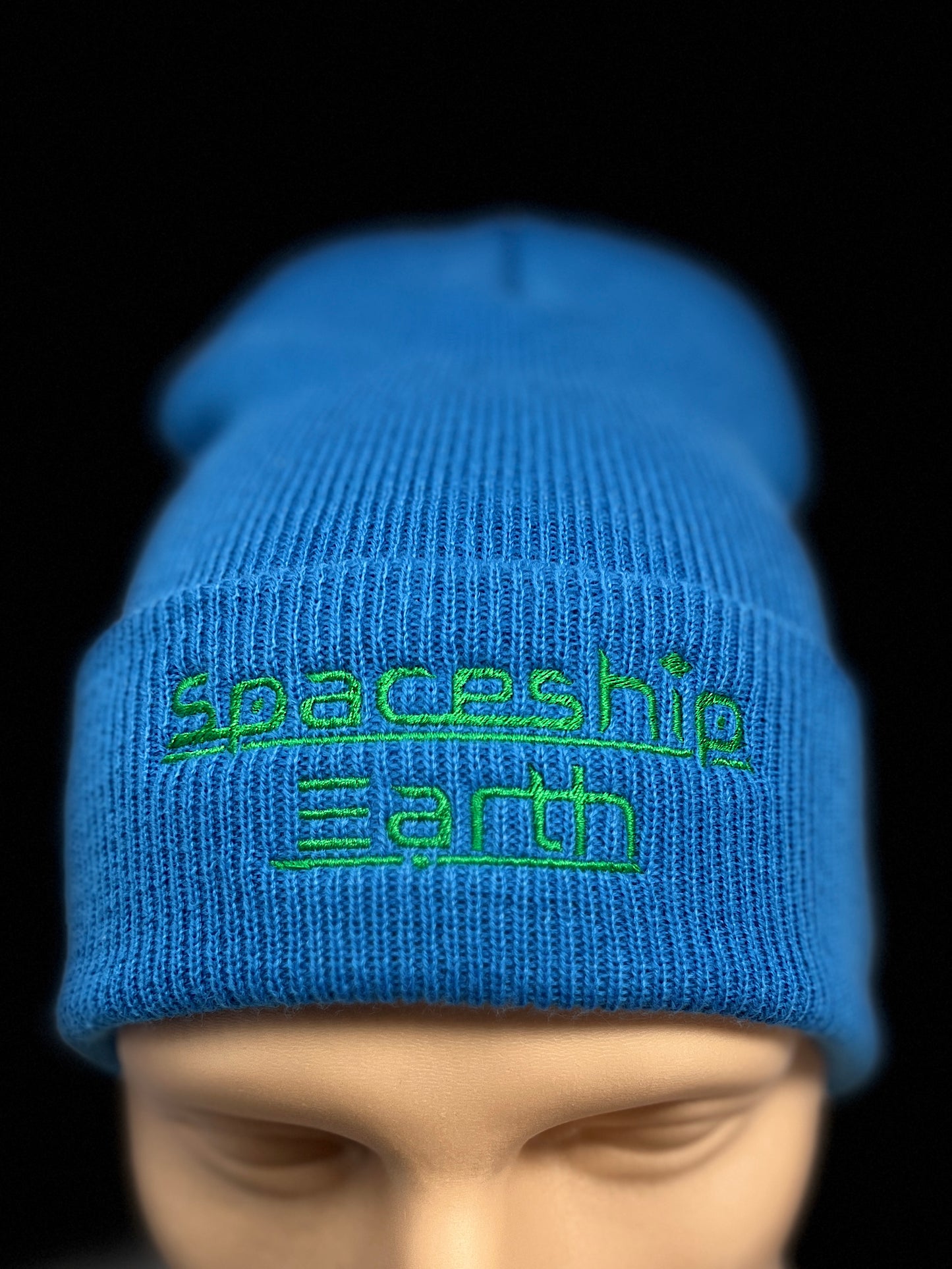 Spaceship Earth Logo Beanie