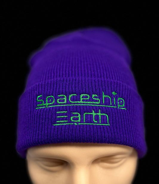Spaceship Earth Logo Beanie
